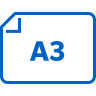 A3